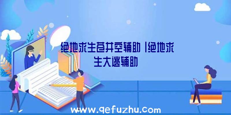 「绝地求生苍井空辅助」|绝地求生大逃辅助